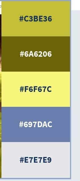 Website Color Schemes
