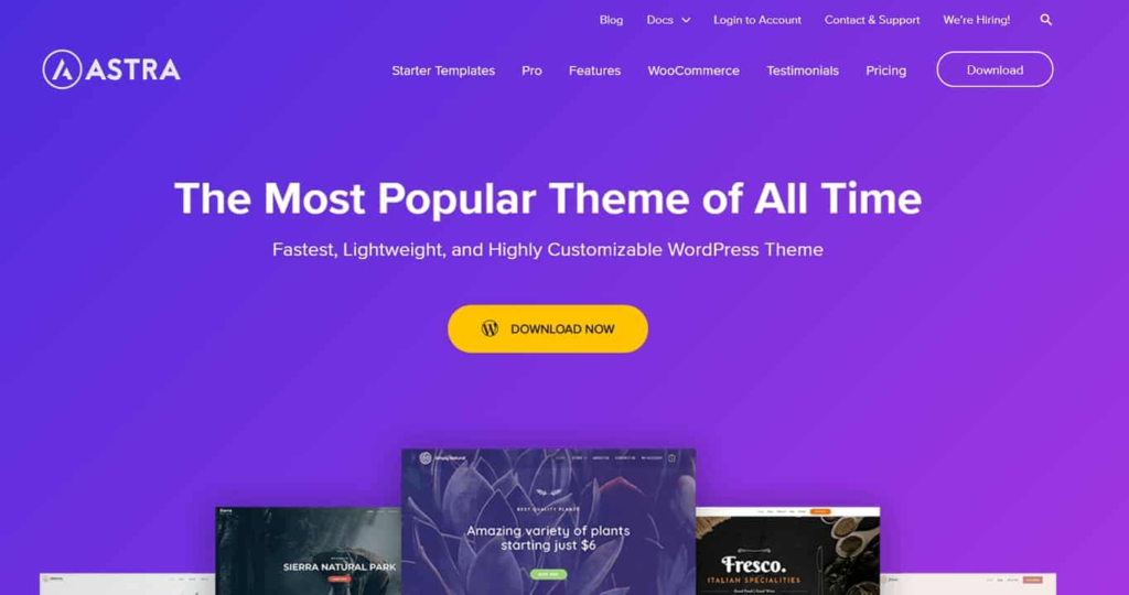 Speed Up WordPress Performance