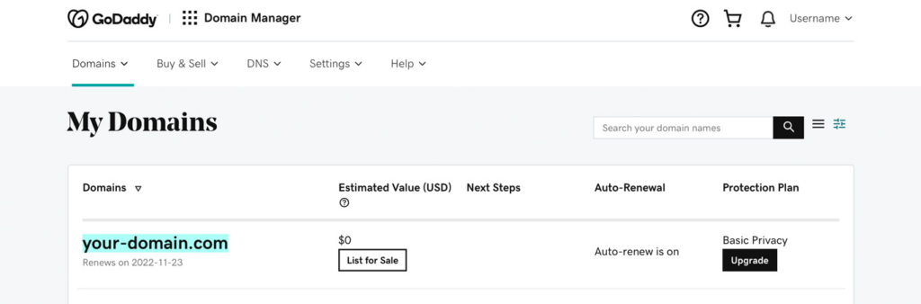 Change a Domain Name